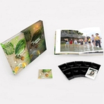 SUMMER NIGHTS: MONOGRAPH