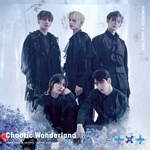 CHAOTIC WONDERLAND: SINGLE