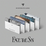 FACE THE SUN