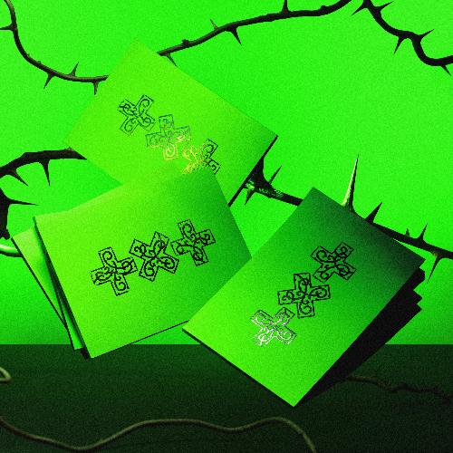 7TH YEAR: 가시덤불에 잠시 바람이 멈췄을 때: 미니앨범 8집, THORN Ver.