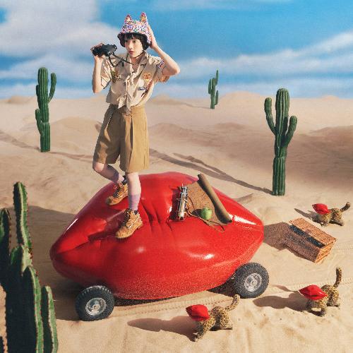 AIMYON - Chase the Lips!: AIMYON BEST ALBUM, First Press Limited Edition