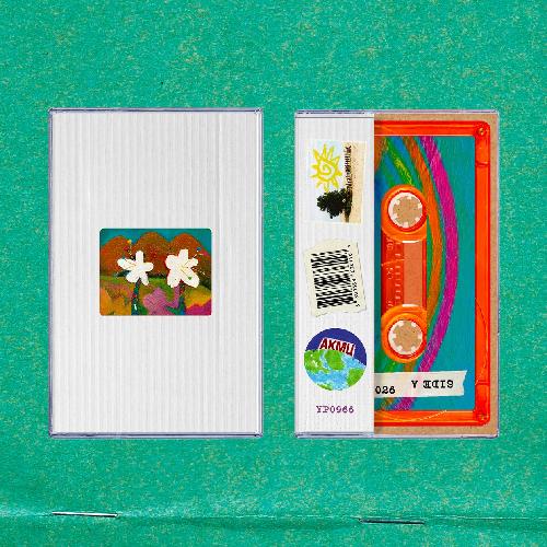 악동뮤지션(AKMU) 4집 - 개화