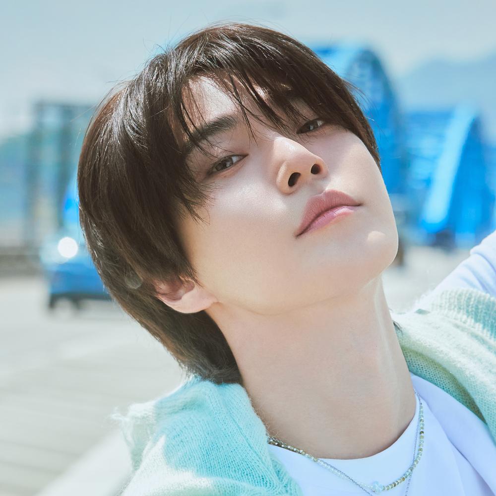도영
