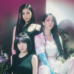 비비지
