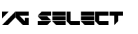 YG SELECT logo